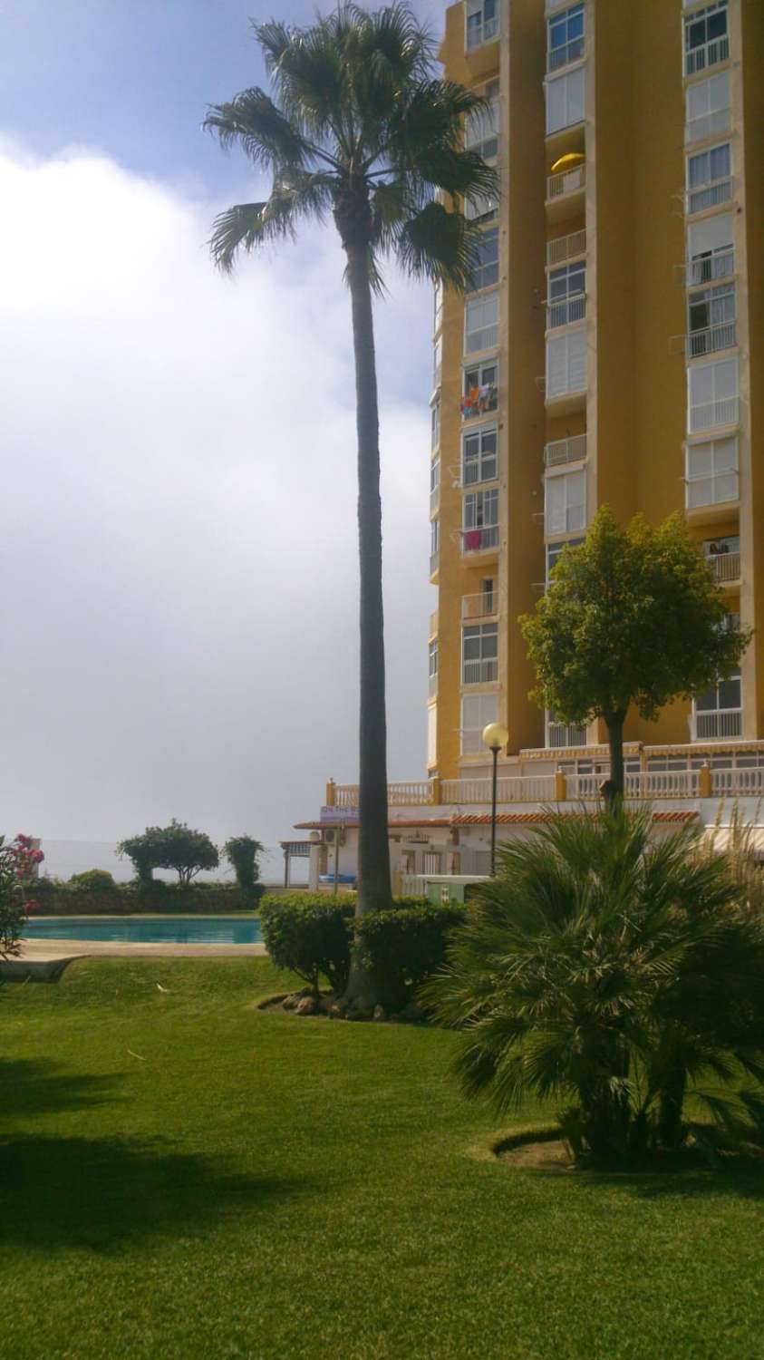 APPARTAMENTO IN AFFITTO A CALAHONDA – 1ª LINEA DI BEACH