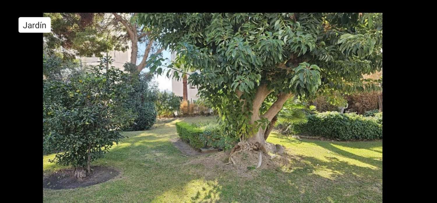 Larga temporada en Benalmádena
